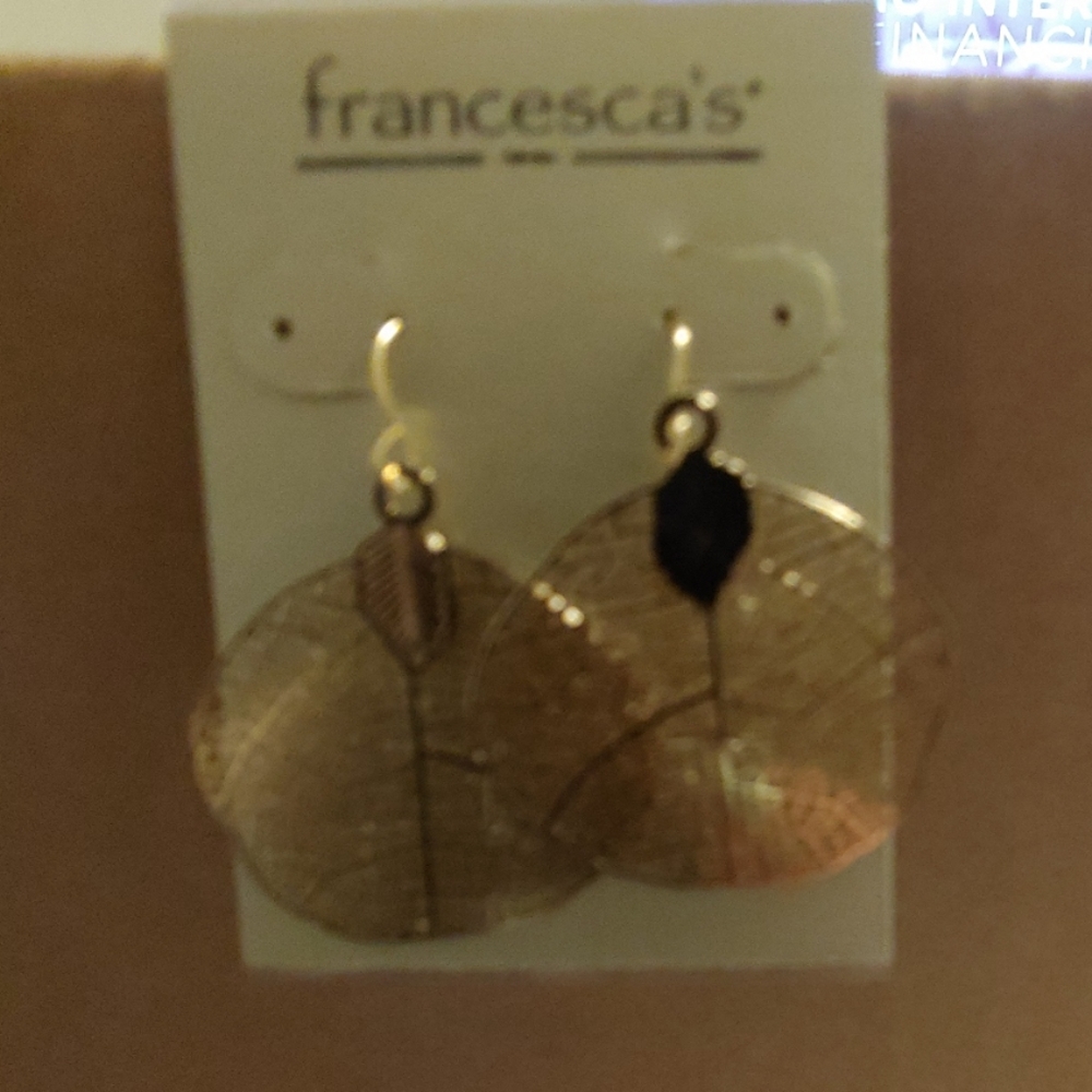 Earrings
